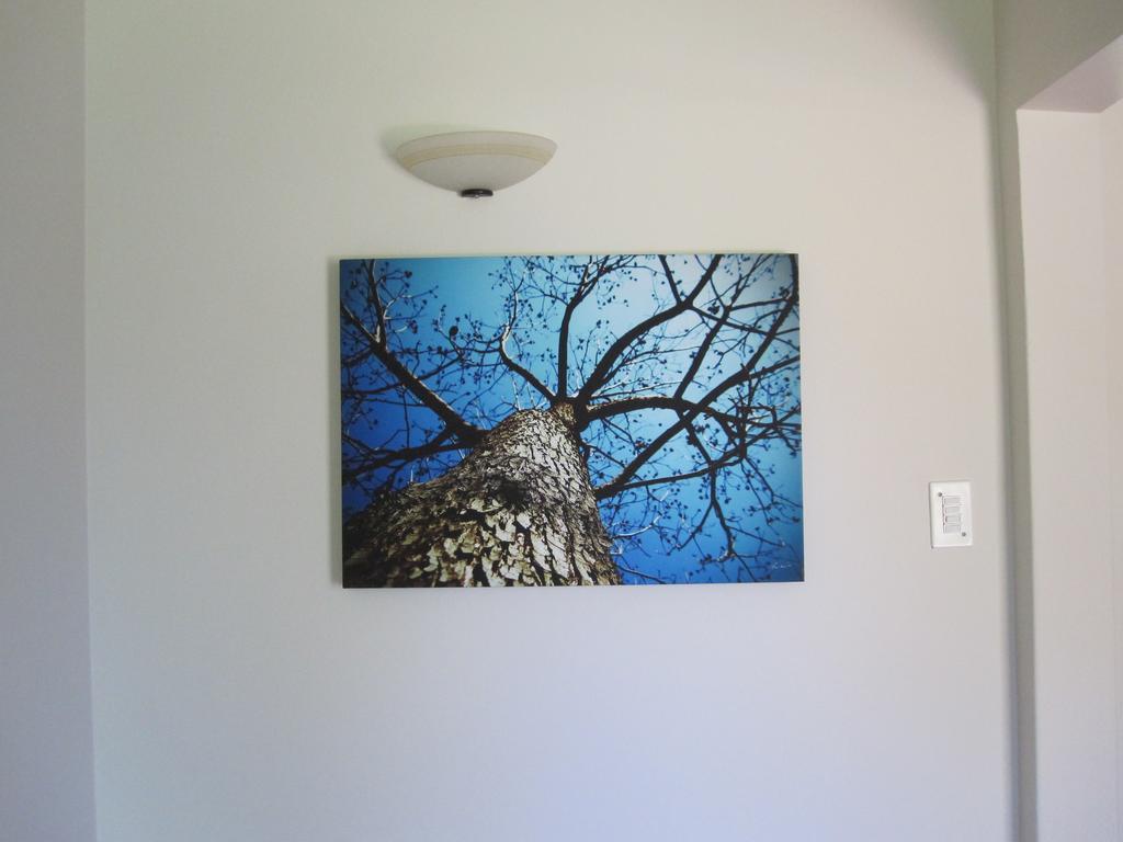 The Pecan Tree Guesthouse Sandton Extérieur photo